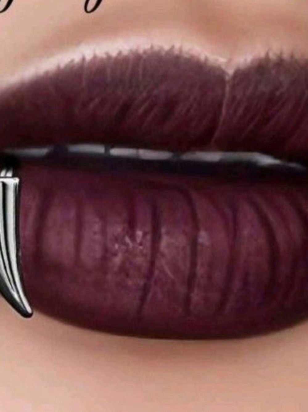 Matte Deep Plum Liquid Lipstick - Women Makeup